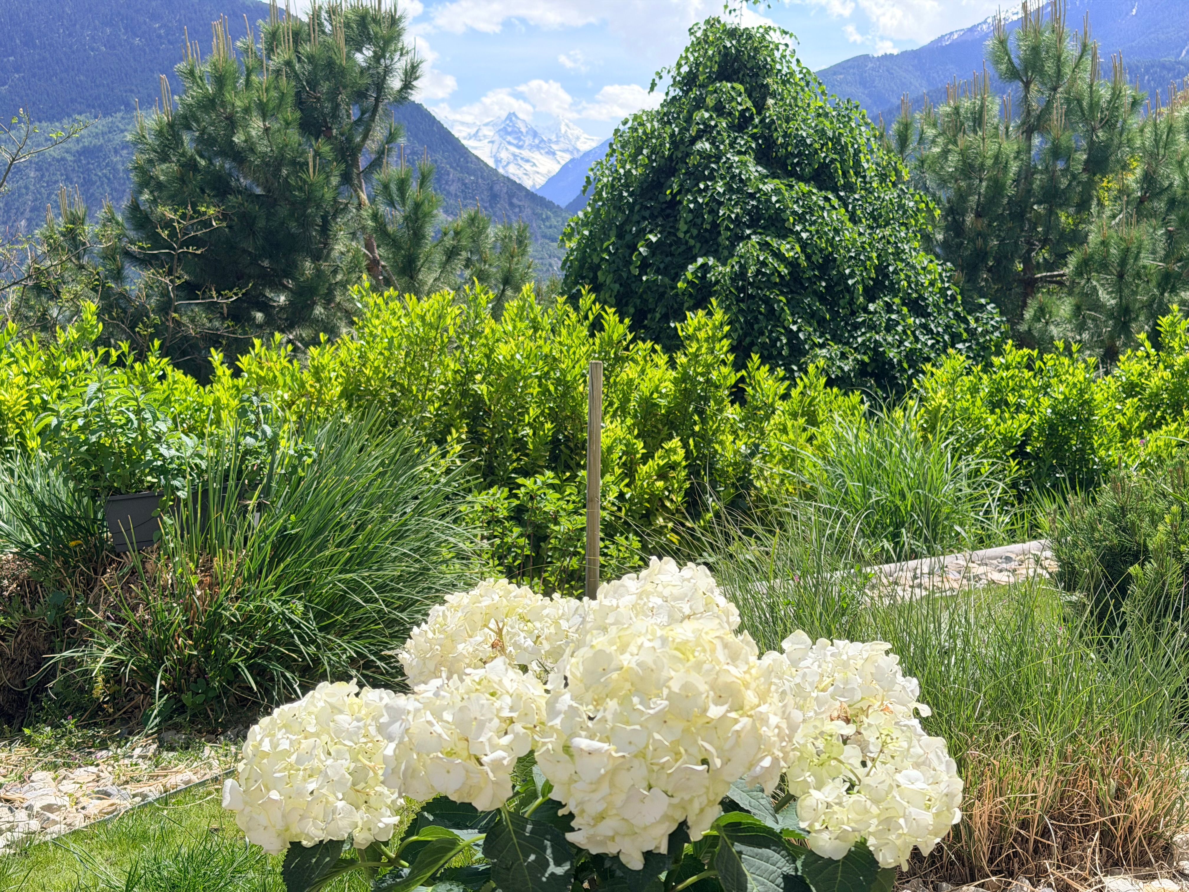 Jardin & terrasse
